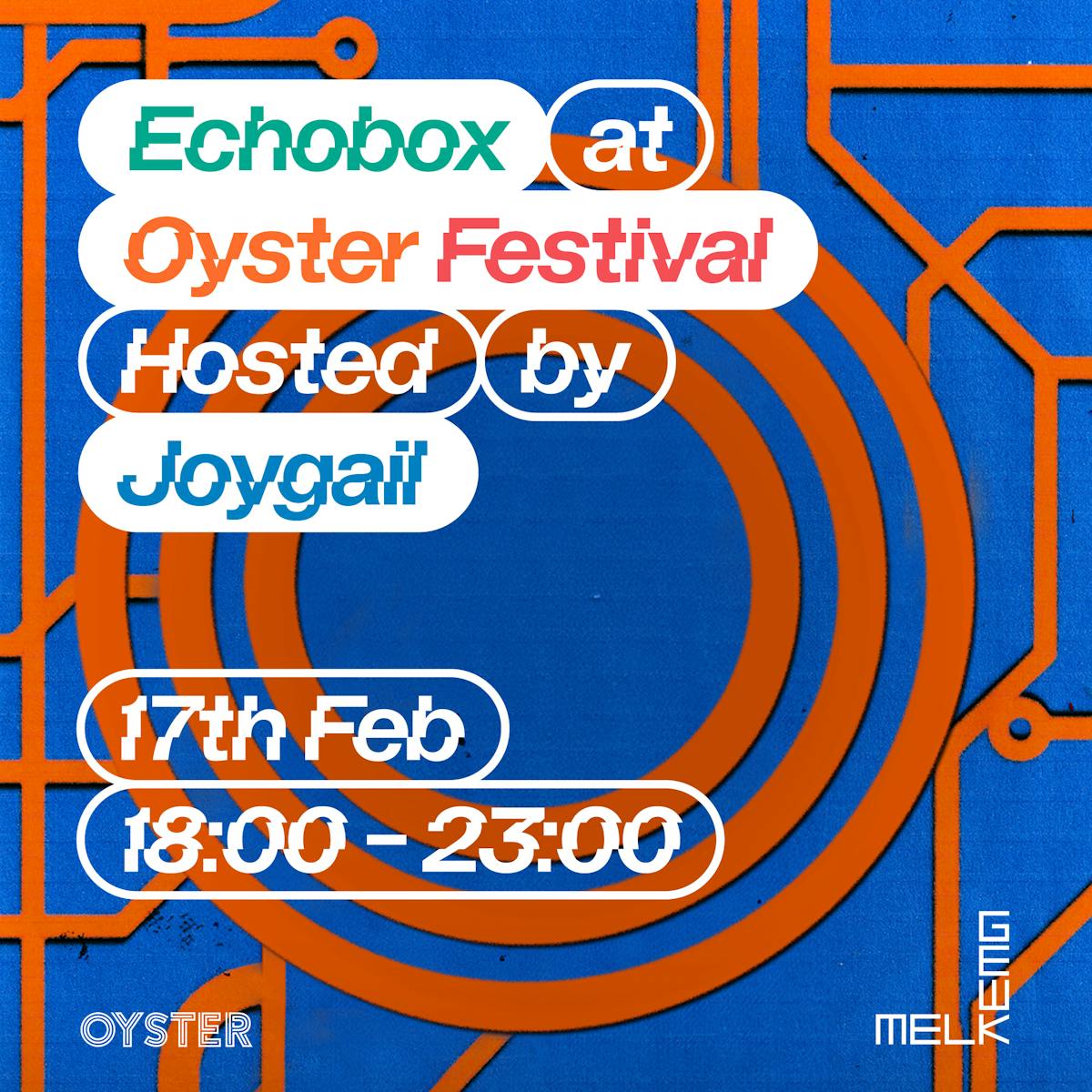 Echobox at Oyster Festival